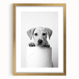 Bathroom Wall Art - Playful Puppy on Toilet Roll Modern Decor