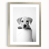 Bathroom Wall Art - Playful Puppy on Toilet Roll Modern Decor