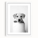 Bathroom Wall Art - Playful Puppy on Toilet Roll Modern Decor