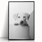 Bathroom Wall Art - Playful Puppy on Toilet Roll Modern Decor