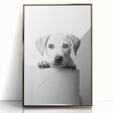 Bathroom Wall Art - Playful Puppy on Toilet Roll Modern Decor
