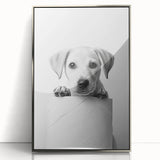 Bathroom Wall Art - Playful Puppy on Toilet Roll Modern Decor