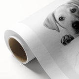 Bathroom Wall Art - Playful Puppy on Toilet Roll Modern Decor