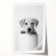 Bathroom Wall Art - Playful Puppy on Toilet Roll Modern Decor