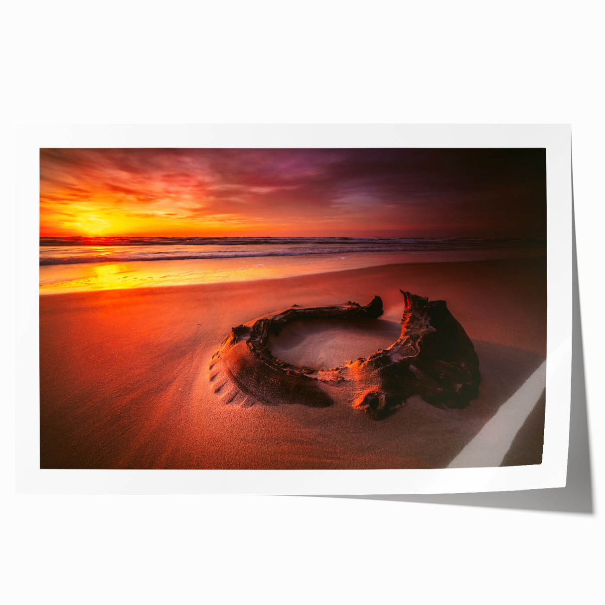 Extra large rolled print of a Lithuanian landscape with vibrant floral details, ideal for dining room decor.