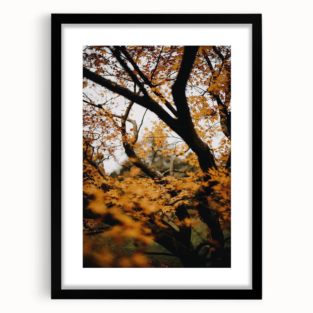 Extra large abstract art print featuring vibrant autumnal hues on textured canvas, framed in black.