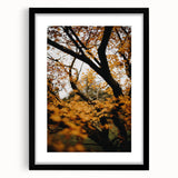 Extra large abstract art print featuring vibrant autumnal hues on textured canvas, framed in black.