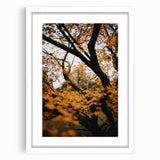 Abstract art print featuring swirling autumnal hues on a white framed canvas, suitable for dining room or bedroom decor.