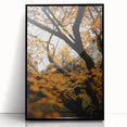 Large abstract wall art featuring swirling autumn colors in a black frame, ideal for modern living room decor.