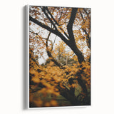 Framed canvas of a vintage poster art depicting colorful autumn trees, ideal for extra large living room wall art.