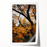 Rolled print of a fall-themed floral art with warm orange and yellow tones, suitable for dining room or bathroom decor.