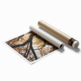 Extra large rolled print featuring autumnal floral art in warm orange and red tones.