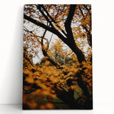 Large black and white abstract art on stretched canvas depicting swirling patterns.