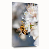 Large abstract wall art depicting vibrant spring colors on acrylic glass, ideal for bedroom or dining room decor.