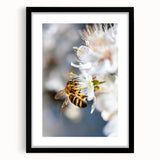 Extra large abstract art print featuring textured, colorful swirls on a black framed canvas, ideal for living room decor.