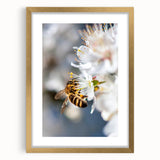 Extra large abstract art print featuring textured swirls in spring hues on a framed gold canvas, ideal for living room decor.