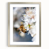 Textured abstract art print depicting spring themes in soft green and white hues, framed in silver.