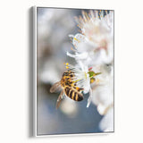 Extra large framed canvas of vintage poster art featuring a colorful spring scene, ideal for living room decor.