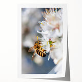 Extra large rolled canvas depicting vibrant spring floral art, ideal for dining room wall decor.