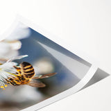 Extra large rolled print featuring line art flowers in muted pastel tones, ideal for large living room wall art.