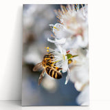 Large black and white abstract canvas featuring spring-themed design, ideal for kitchen wall art or bedroom ambiance.