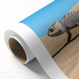 Desert landscape artwork on rolled canvas showcasing vibrant sandy hues and cacti, elegantly packaged in a protective cardboard tube for easy display.