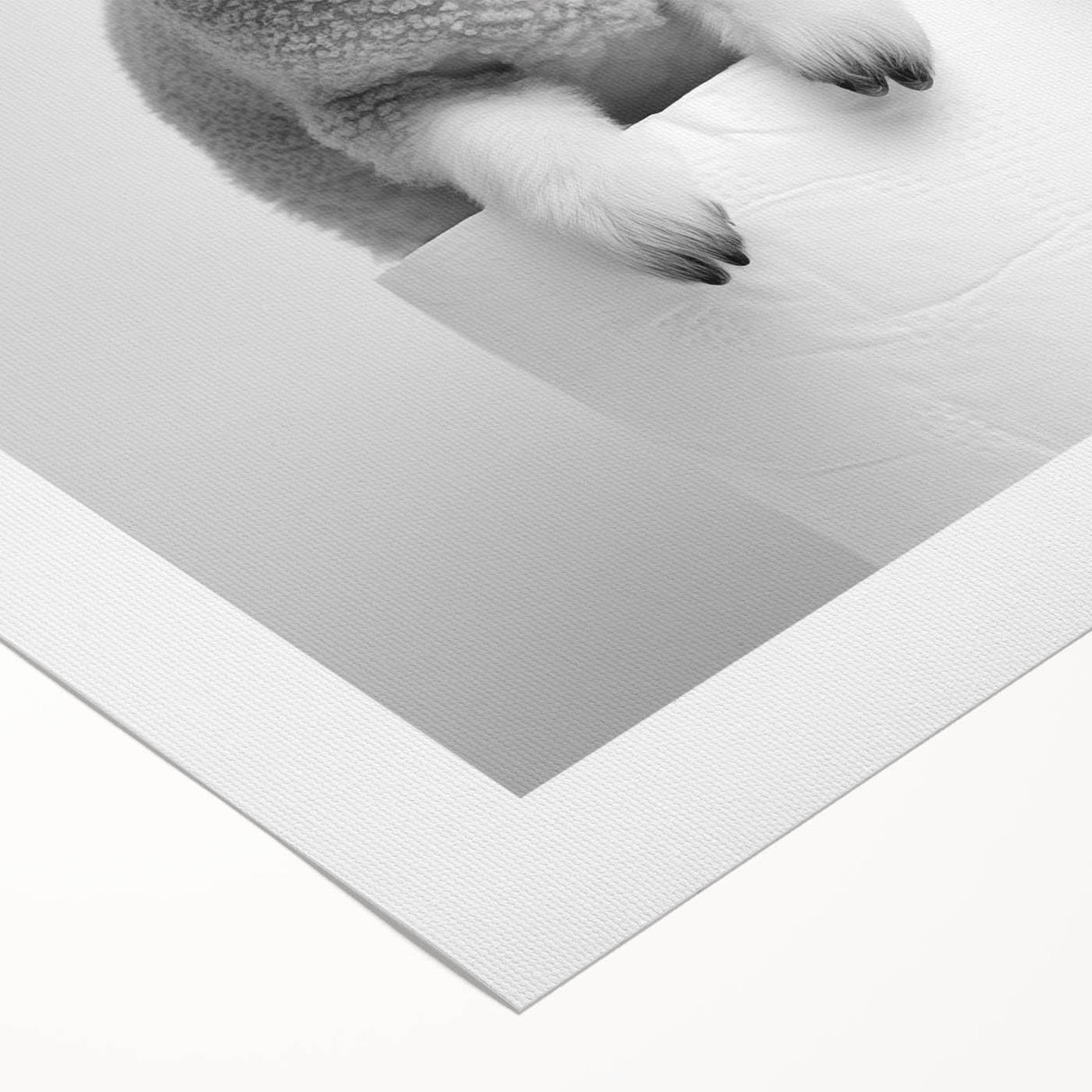 Bathroom Picture Frames - Minimalist Lamb Wall Decor for Modern Spaces