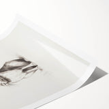 Extra large wall art featuring black and white line art flowers on a rolled print, suitable for large living room decor.