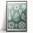 Vintage Scientific Wall Art - Detailed Marine Life Illustration in Green