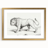 Lion Sketch by Jean Bernard - Romanticism Black and White Wall Art
