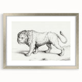 Lion Sketch by Jean Bernard - Romanticism Black and White Wall Art