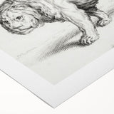 Lion Sketch by Jean Bernard - Romanticism Black and White Wall Art
