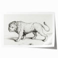 Lion Sketch by Jean Bernard - Romanticism Black and White Wall Art