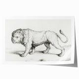Lion Sketch by Jean Bernard - Romanticism Black and White Wall Art