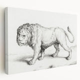 Lion Sketch by Jean Bernard - Romanticism Black and White Wall Art