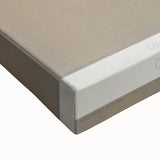 Orchid Botanical Art - Odontoglossum Romanticism Canvas Print