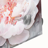 Soft Bloom Elegance - Modern Living Room Canvas Wall Art