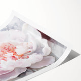 Soft Bloom Elegance - Modern Living Room Canvas Wall Art