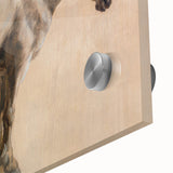 Study of a Grey Horse - Romanticism Art by Jacques-Laurent Agasse