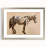 Study of a Grey Horse - Romanticism Art by Jacques-Laurent Agasse