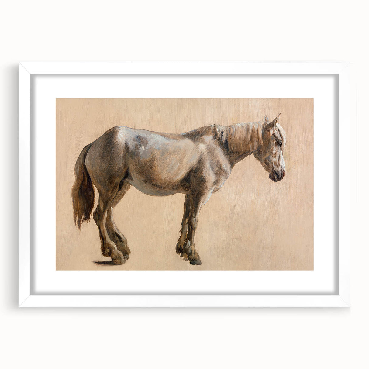 Study of a Grey Horse - Romanticism Art by Jacques-Laurent Agasse
