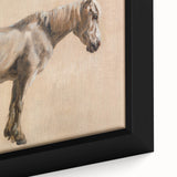 Study of a Grey Horse - Romanticism Art by Jacques-Laurent Agasse