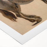 Study of a Grey Horse - Romanticism Art by Jacques-Laurent Agasse