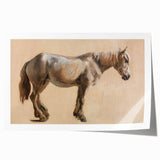 Study of a Grey Horse - Romanticism Art by Jacques-Laurent Agasse