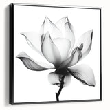 Monochrome Lotus Elegance - Modern Living Room Canvas Wall Art