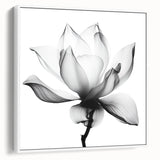 Monochrome Lotus Elegance - Modern Living Room Canvas Wall Art