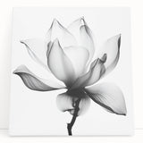 Monochrome Lotus Elegance - Modern Living Room Canvas Wall Art