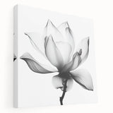 Monochrome Lotus Elegance - Modern Living Room Canvas Wall Art