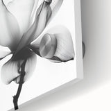 Monochrome Lotus Elegance - Modern Living Room Canvas Wall Art