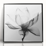 Monochrome Lotus Elegance - Modern Living Room Canvas Wall Art